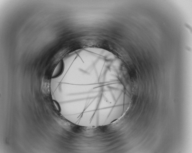 X0000093500191200710261145