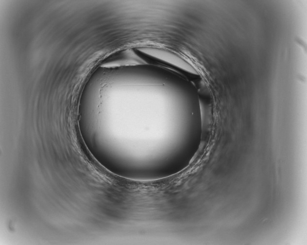 X0000093500193200710261144