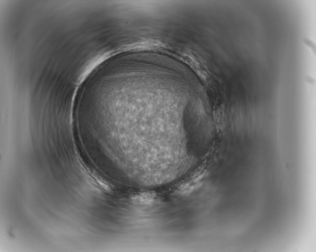 X0000093500196200710261144