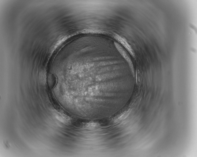 X0000093500204200710261144