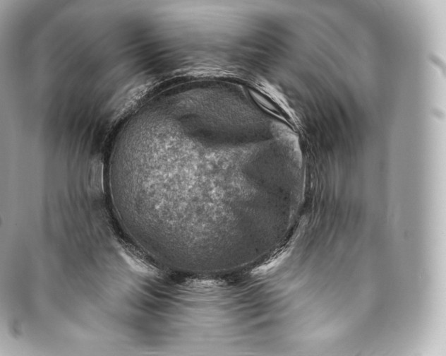 X0000093500205200710261144