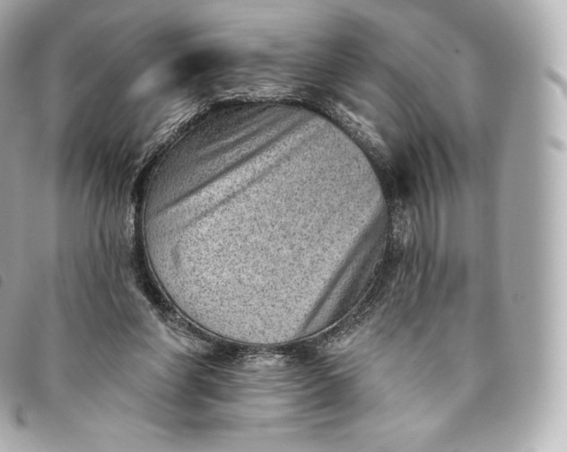 X0000093500206200710261144