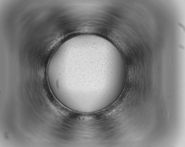 X0000093500208200710261144