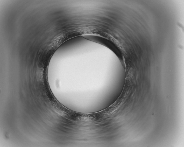 X0000093500209200710261144