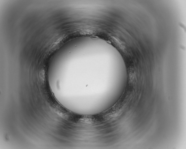 X0000093500211200710261144