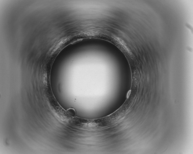 X0000093500212200710261144