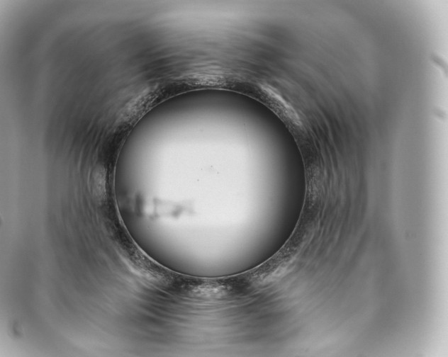 X0000093500213200710261144