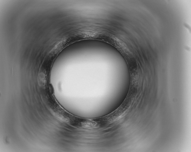X0000093500215200710261144