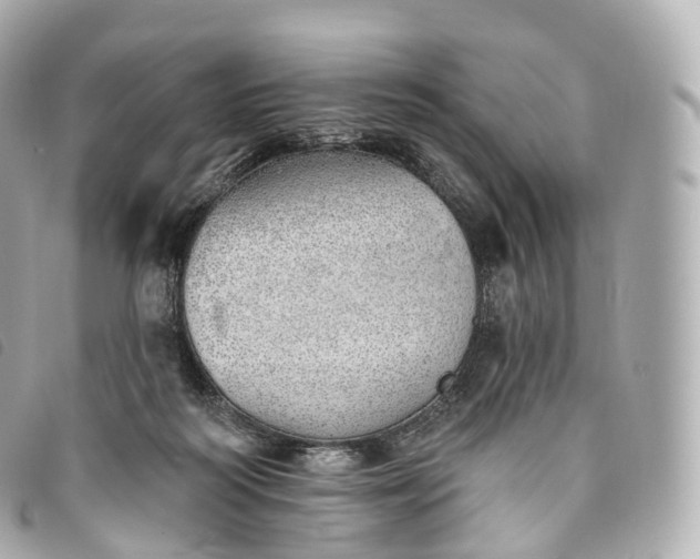 X0000093500218200710261144