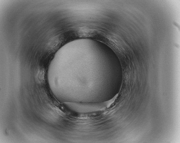 X0000093500219200710261144