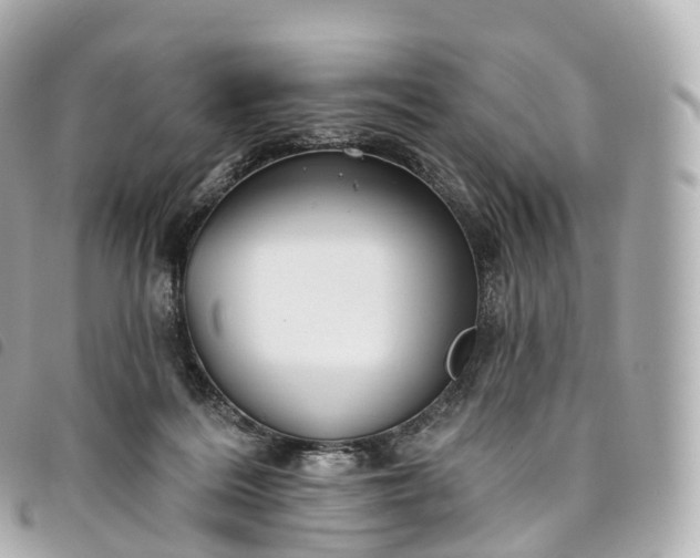 X0000093500220200710261144