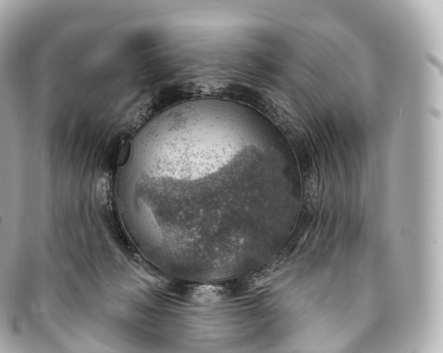 X0000093500222200710261144