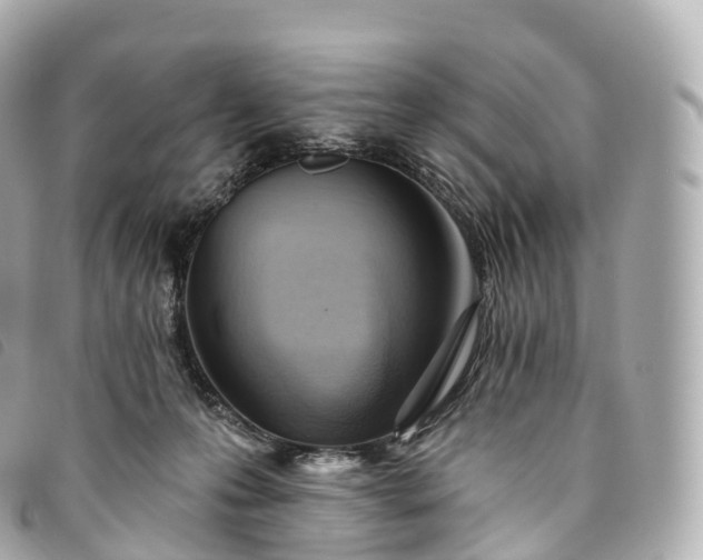 X0000093500223200710261144