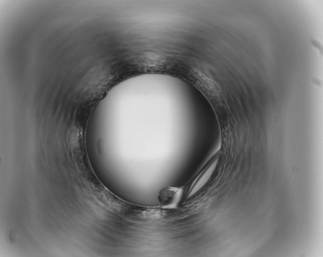 X0000093500225200710261144