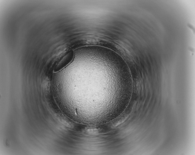 X0000093500228200710261144