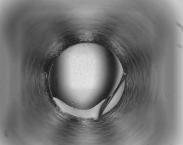 X0000093500229200710261144