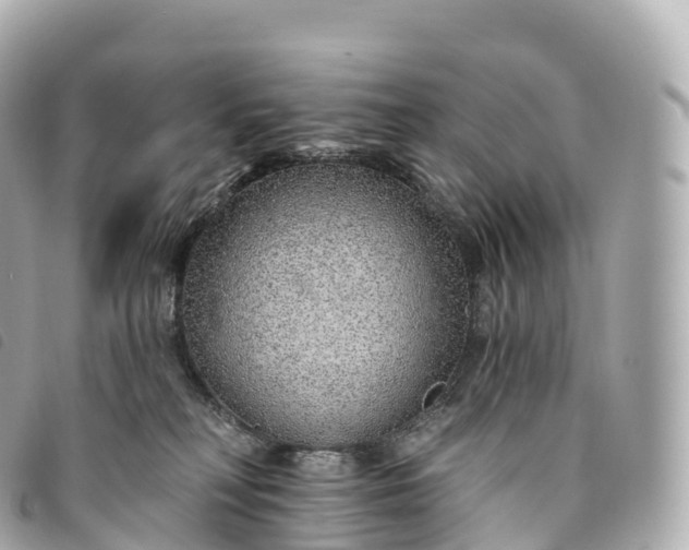 X0000093500230200710261144
