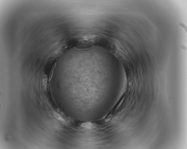 X0000093500231200710261144