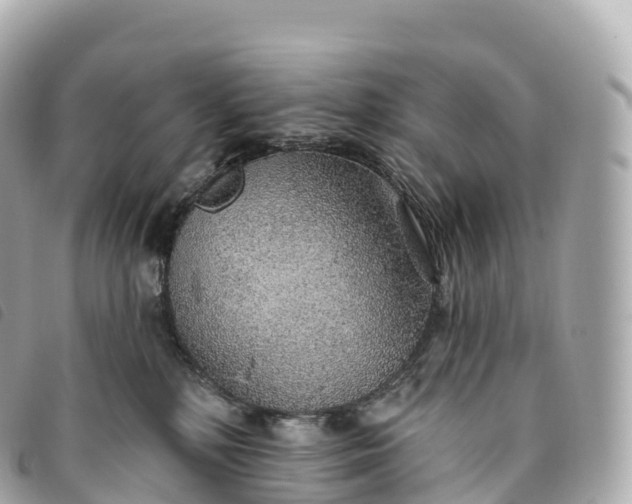 X0000093500232200710261144