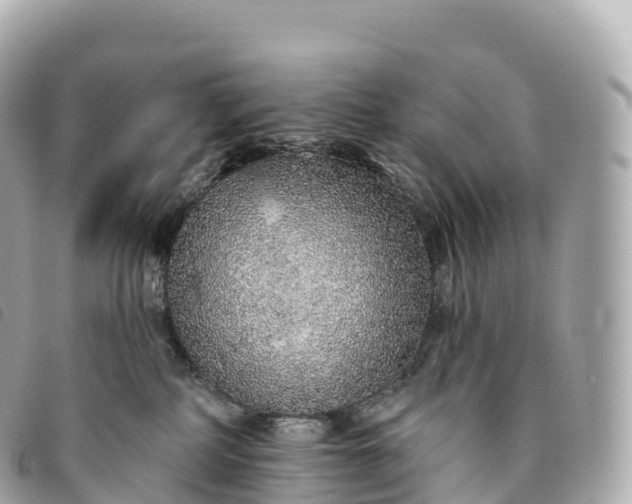 X0000093500234200710261144