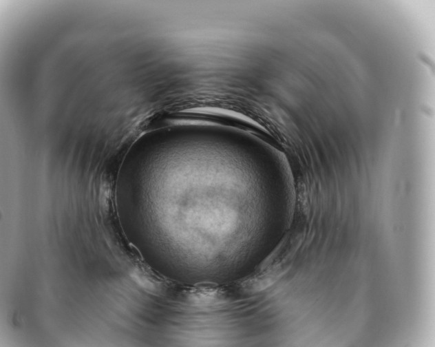 X0000093500235200710261144
