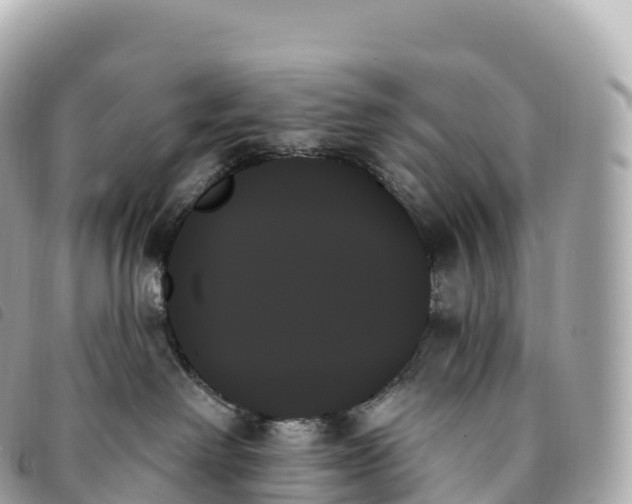 X0000093500238200710261143