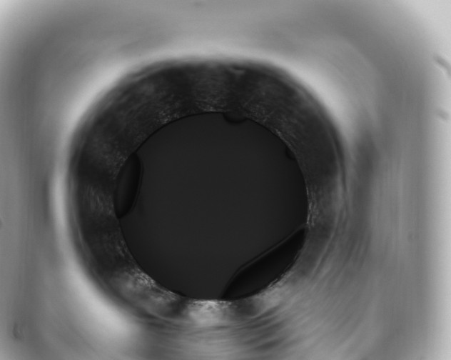 X0000093500239200710261143