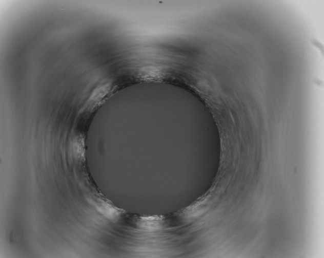 X0000093500240200710261143