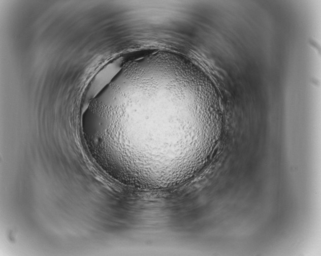 X0000093500241200710261143