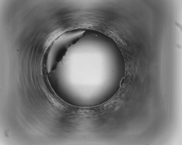 X0000093500242200710261143
