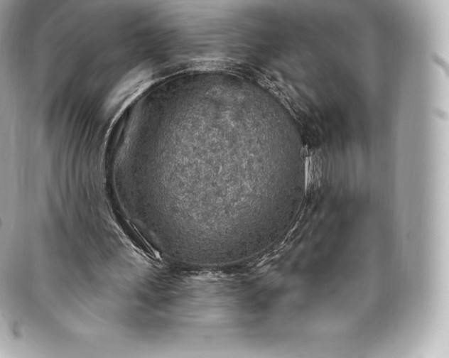 X0000093500243200710261143