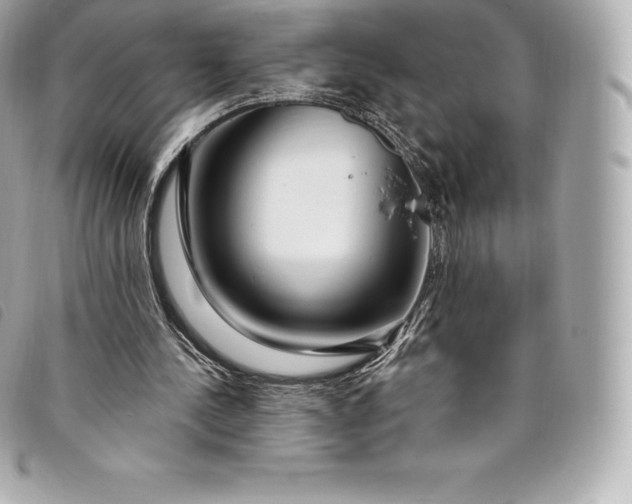 X0000093500244200710261143