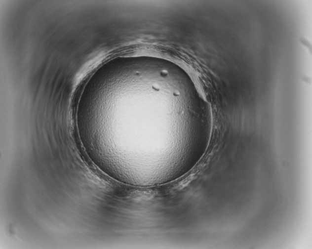 X0000093500245200710261143