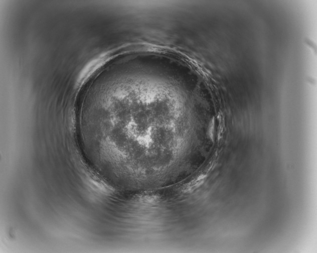X0000093500247200710261143
