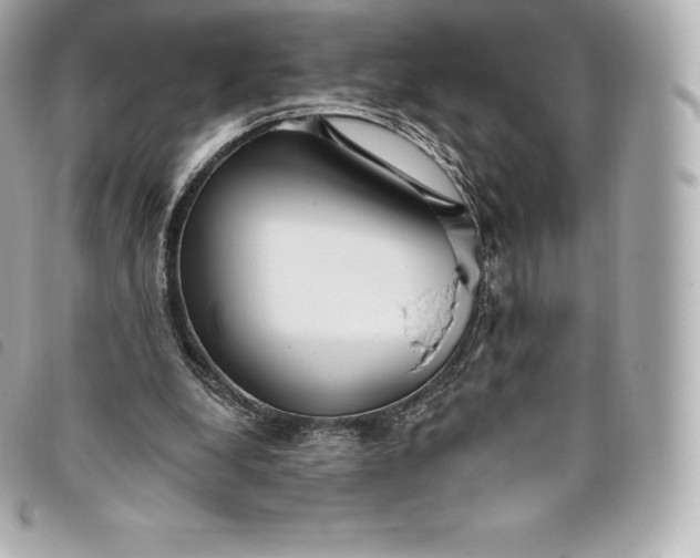X0000093500248200710261143