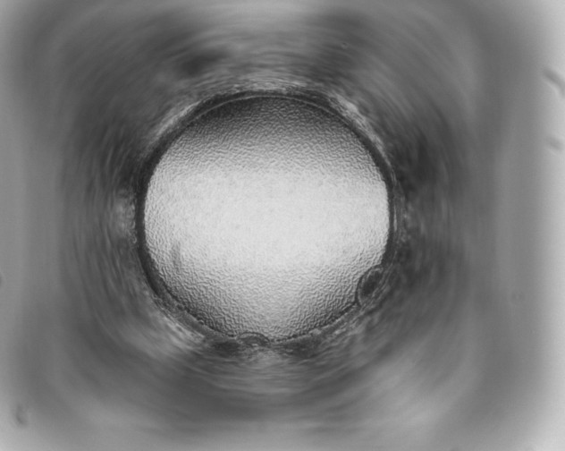 X0000093500249200710261143