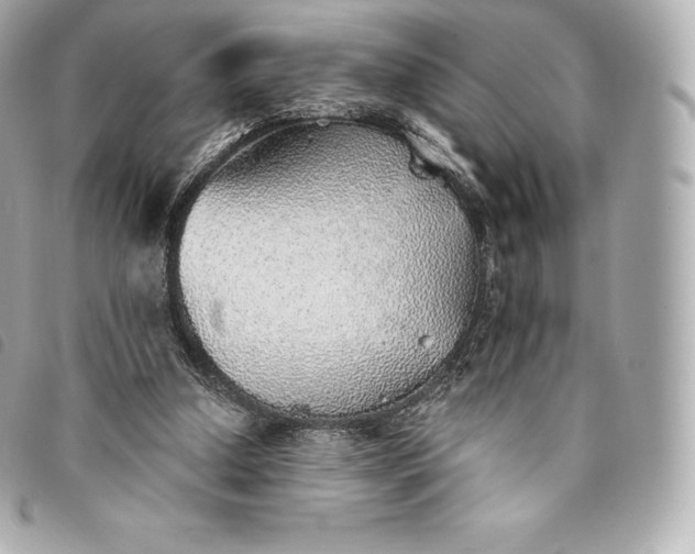 X0000093500250200710261143