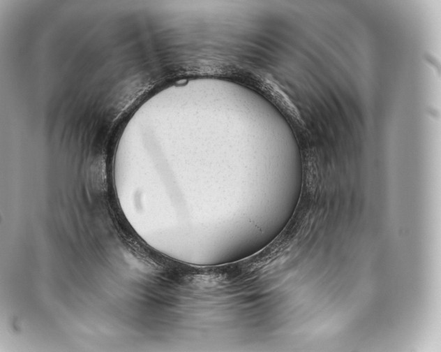 X0000093500251200710261143