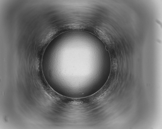 X0000093500255200710261143