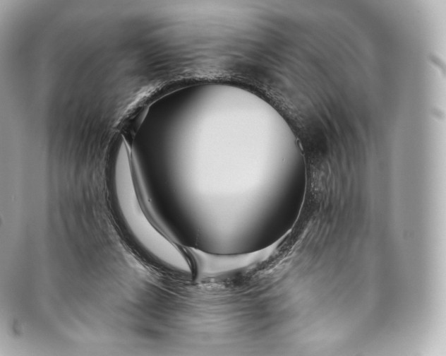 X0000093500256200710261143