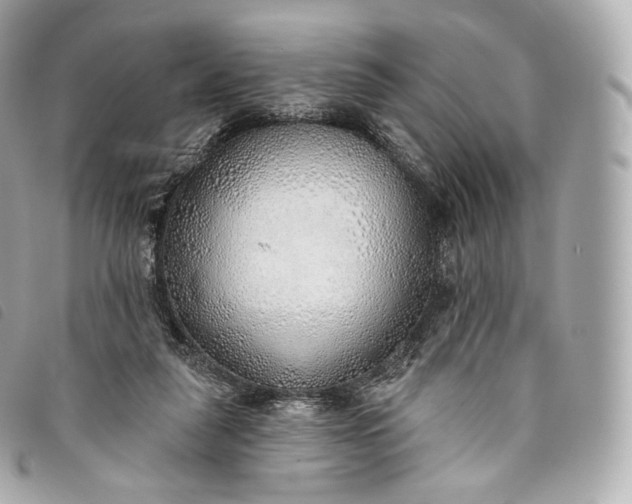 X0000093500259200710261143