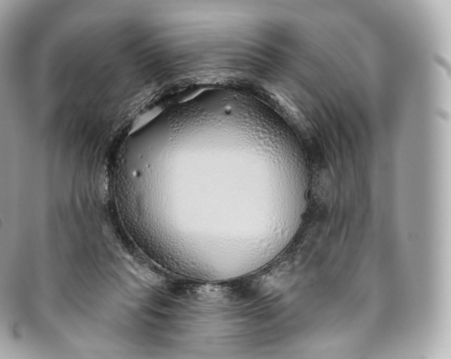 X0000093500261200710261143