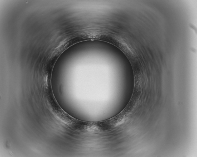 X0000093500262200710261143