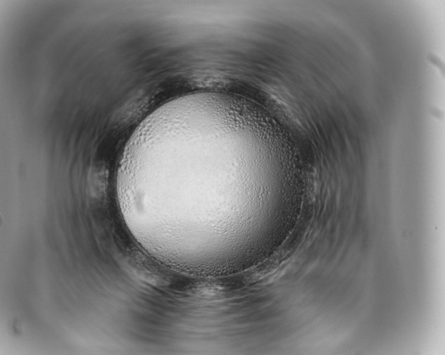 X0000093500263200710261143