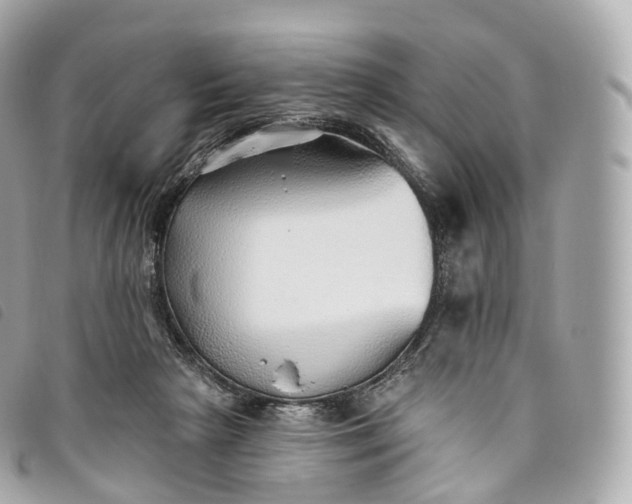 X0000093500265200710261143
