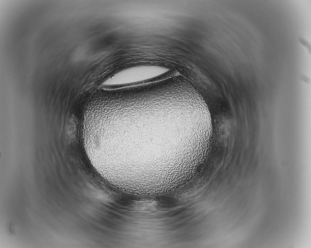 X0000093500266200710261143