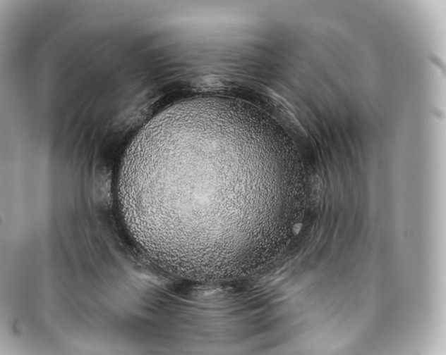 X0000093500267200710261143
