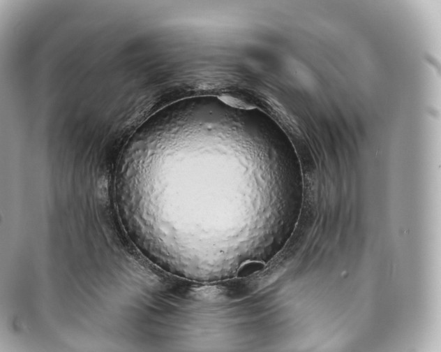 X0000093500269200710261143