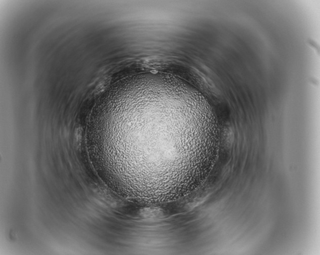 X0000093500271200710261143