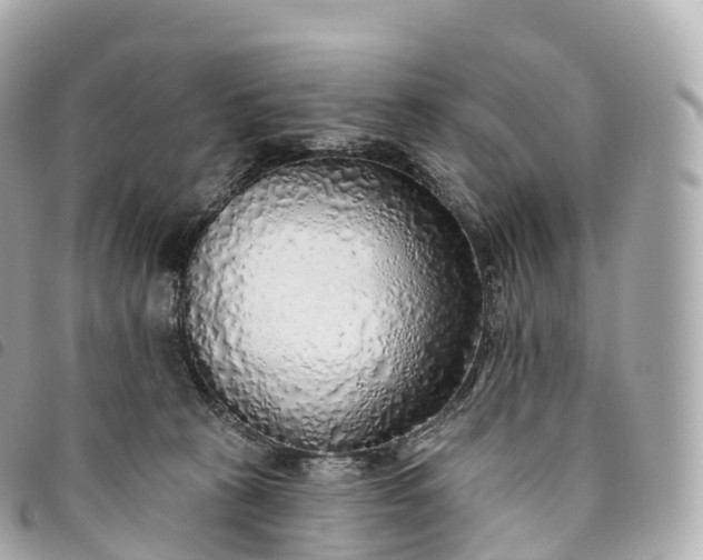 X0000093500273200710261143